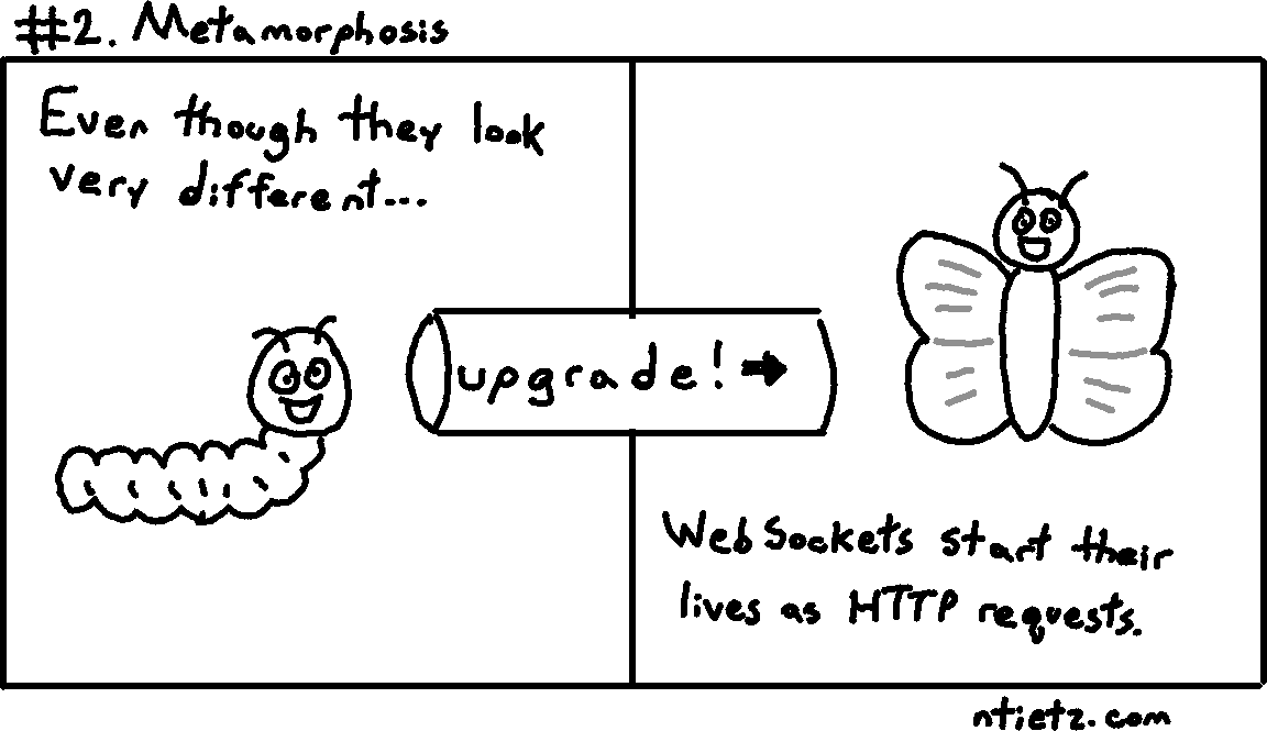 Comic showing a caterpillar and a butterfly, representing the transformation of HTTP requests into WebSockets.